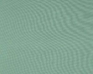 Punta di roma - Mint