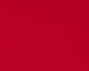 Punta di roma - Rood